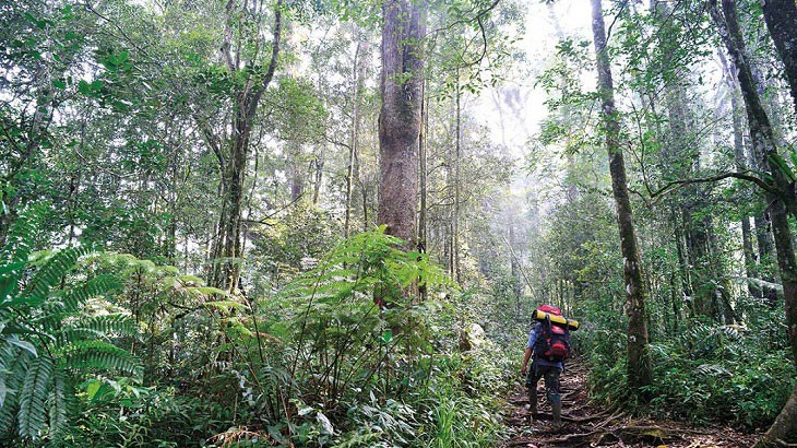 Kerinci Seblat National Park