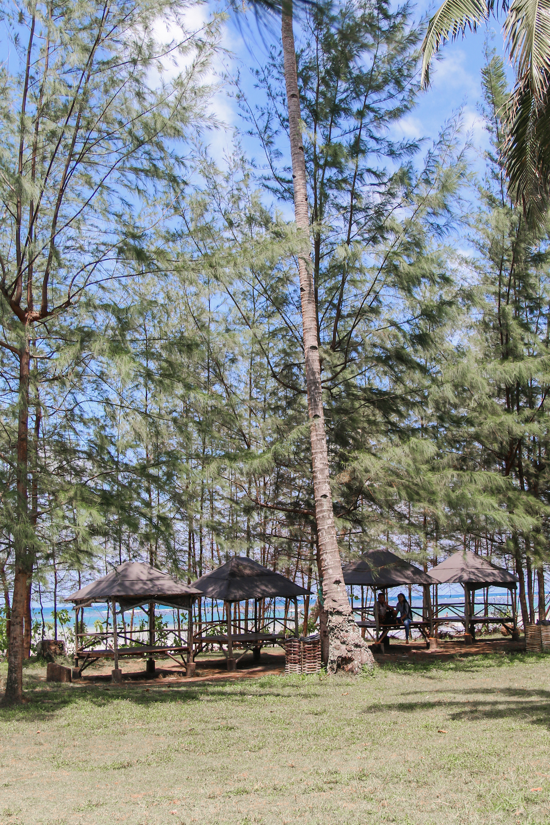 Trikora beach huts