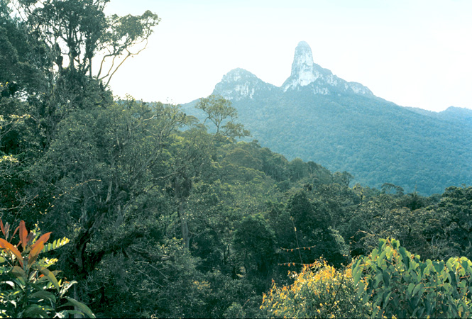 A view of Borneo's Batu Lawi twin peaks.