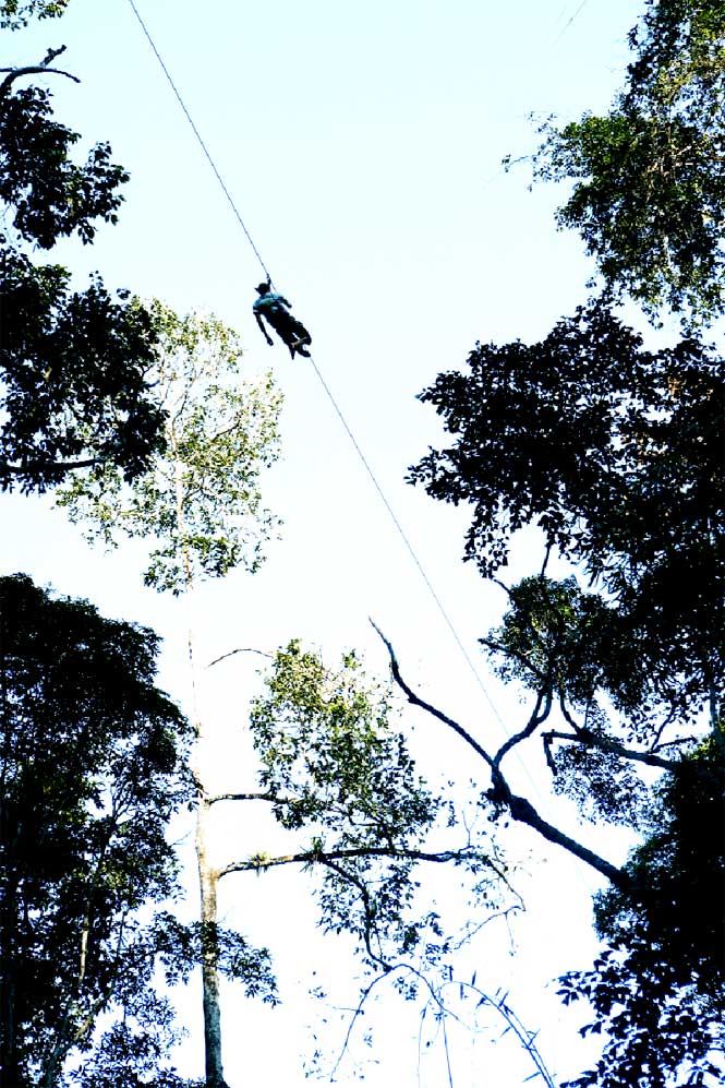 Soaring through the jungle canopy on a zip line.