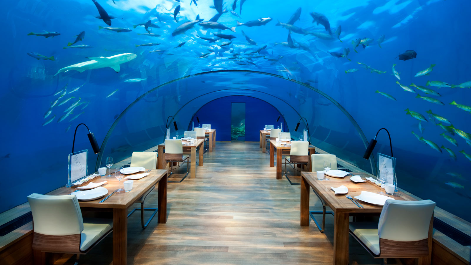 conrad-maldives-ithaa-undersea-restaurant | DestinAsian