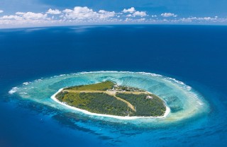 Lady Elliot Island