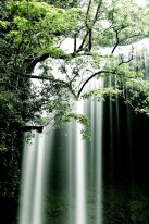 Ngardmau Waterfall, a 30-meter-high cascade on Babeldaob Island. 