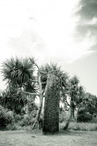 One of the Ngarchelong stone monoliths.