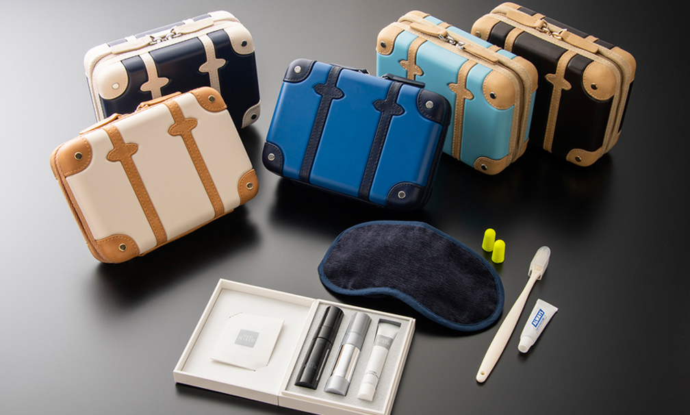 ana luggage