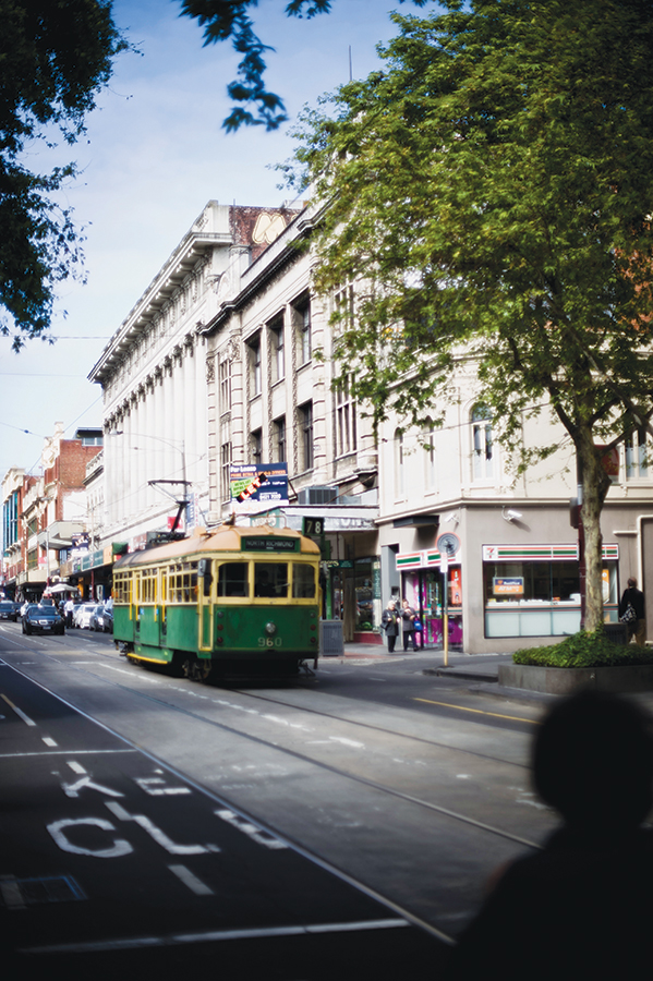 Chapel Street in Melbourne's Prahran neighborhood, where vintage trams still operate.
