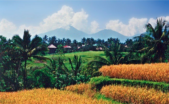 Ubud, Bali