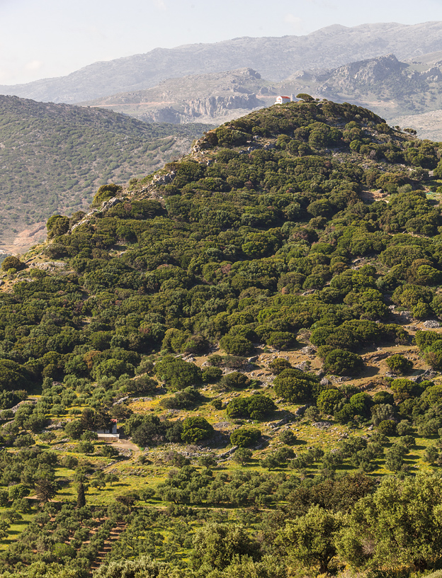 Overlooking olive groves at the foot of Mount Kadistos in the rugged countryside northeast of Neapoli.
